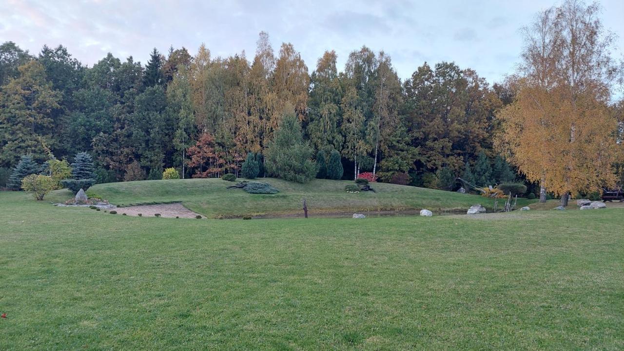 Stay at Svaja Plunge Exteriör bild